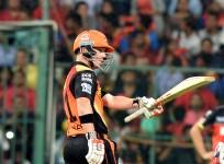 David Warner Sunrisers Hyderabad