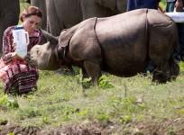 Kate Middleton feeding a baby rhino