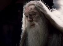 Michael Gambon as Albus Dumbledore