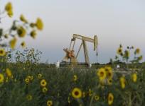 Crude oil prices