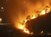 forest fire