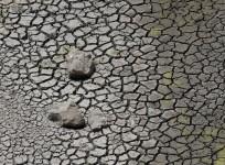 Drought in India