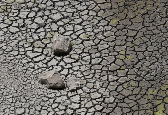 Representational image Drought in India