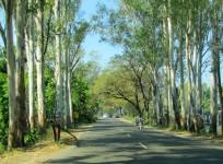 National Highways
