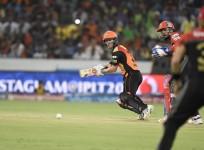 David Warner