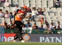 David Warner