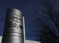 Bayer
