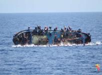 migrants