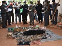 Dead tiger cubs are displayed by Thai officials after they were found during a raid on the controversial Tiger Temple