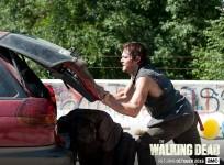 The Walking Dead