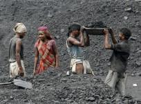 coal india mining production offtake output coal india share price cil miner