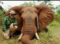 Australian MP Robert Borsack