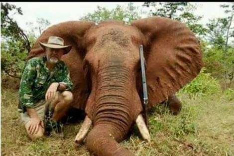 Australian MP Robert Borsack