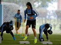 cavani