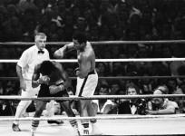 Muhammad Ali