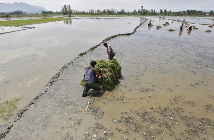 farmers india