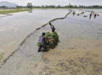 farmers india