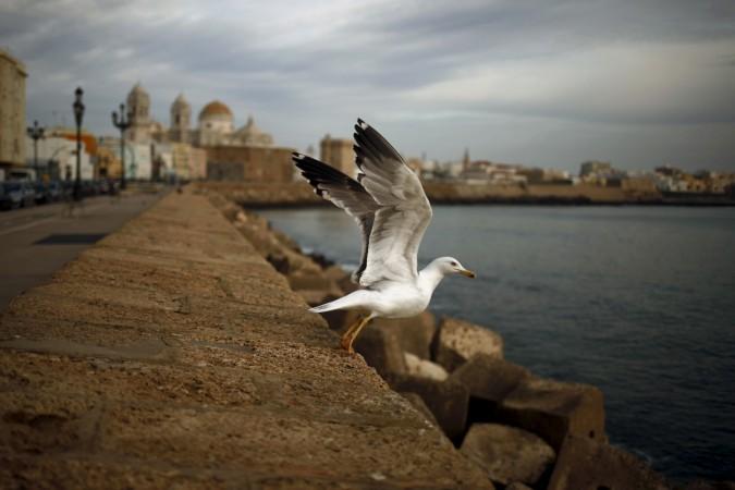 Image for representational purpose only