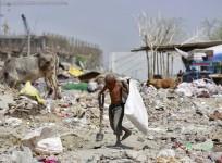 child labourer
