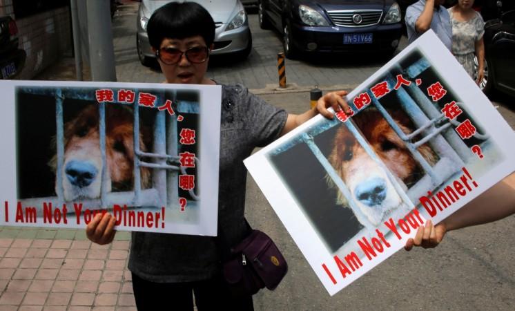 yulin dog meat festival
