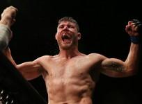 michael bisping