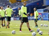 Zlatan Ibrahimovic Sweden