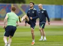 Shane Long Republic of Ireland