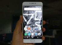 YU Yunicorn Review