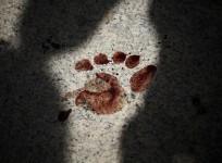 14-year-old Rajat Menon was reportedly hacked to death by two other teenagers over a prank.