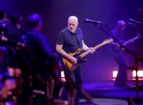 David Gilmour