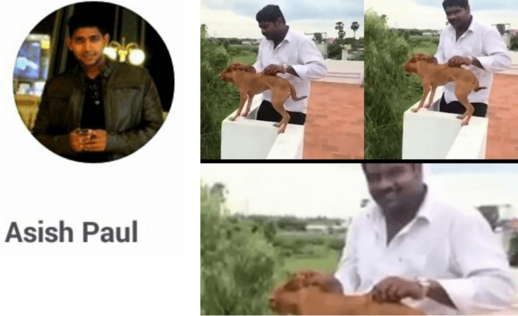 2 medical students to be arrested for throwing dog from rooftop