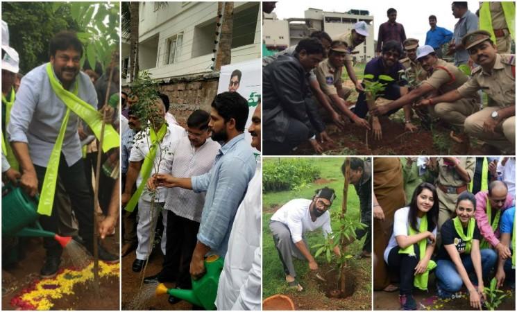 Chiranjeevi, Nagarjuna, Allu Arjun, Rana Daggubati, Rakul Preet at Haritha Haram Campaign