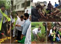 Chiranjeevi, Nagarjuna, Allu Arjun, Rana Daggubati, Rakul Preet at Haritha Haram Campaign