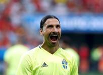 Zlatan Ibrahimovic Sweden