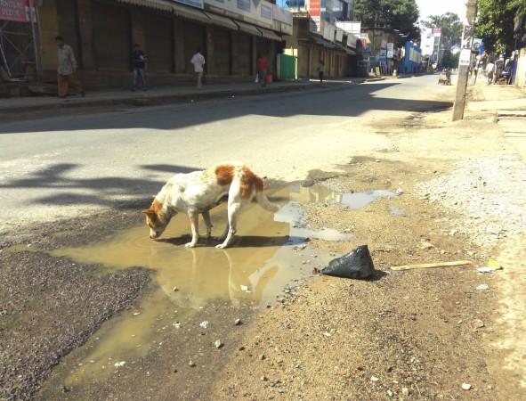 Karnataka bandh