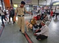 Railway police, sniffer dog