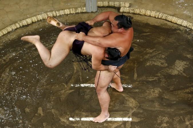 sumo wrestling