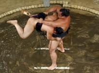 sumo wrestling
