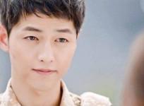 Descendants of the Sun