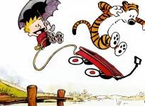 calvin and hobbes