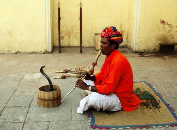 Snake charmer