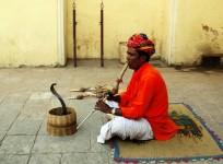 Snake charmer
