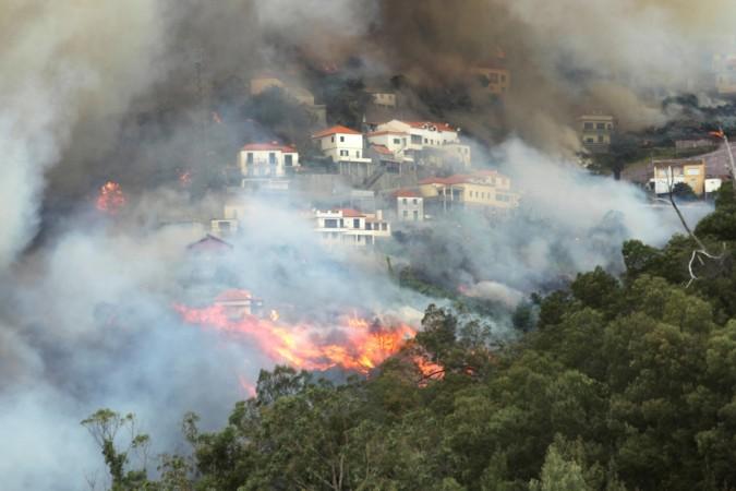 Portugese wildfire