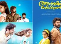 Ann Maria Kalippilaanu revreview
