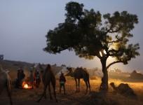 Pushkar fair, Rajasthan