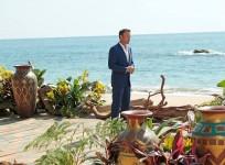 Bachelor in Paradise