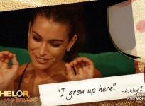 Bachelor in Paradise