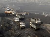 Coal