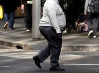 Citrus fruits keep obesity related ailments at bay : Research
