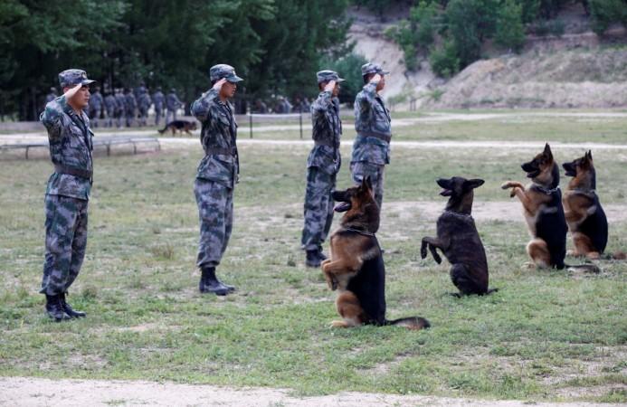 Soldiers salute as they perform with their dogs